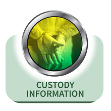 custody-information.png