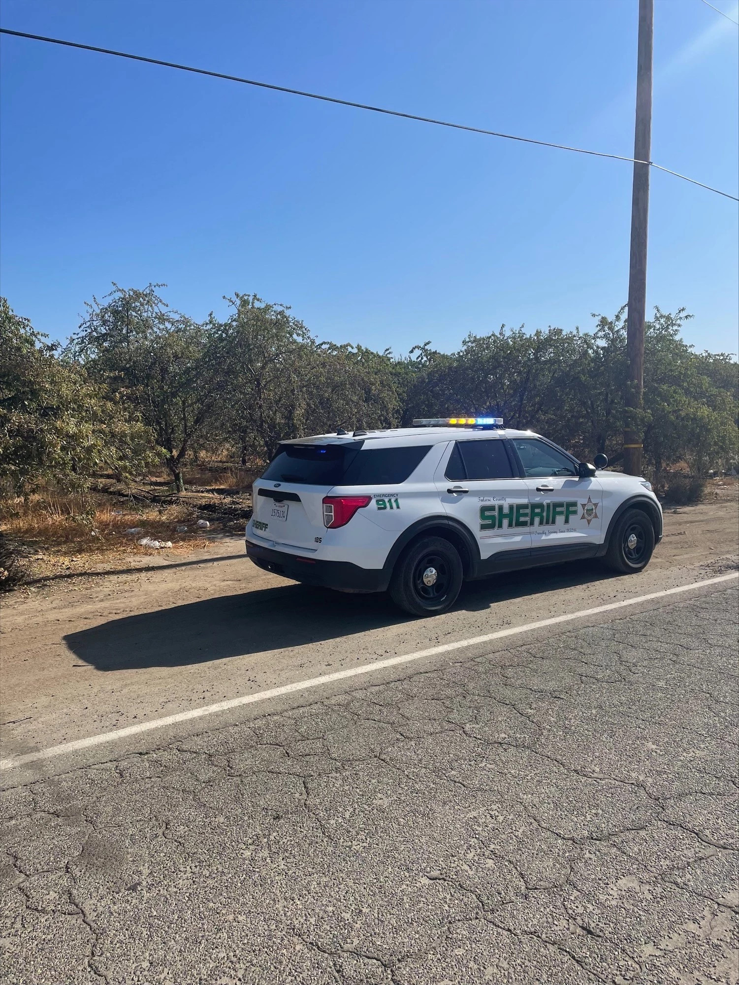 TCSO Detectives Investigating Body Found in Tulare Orchard