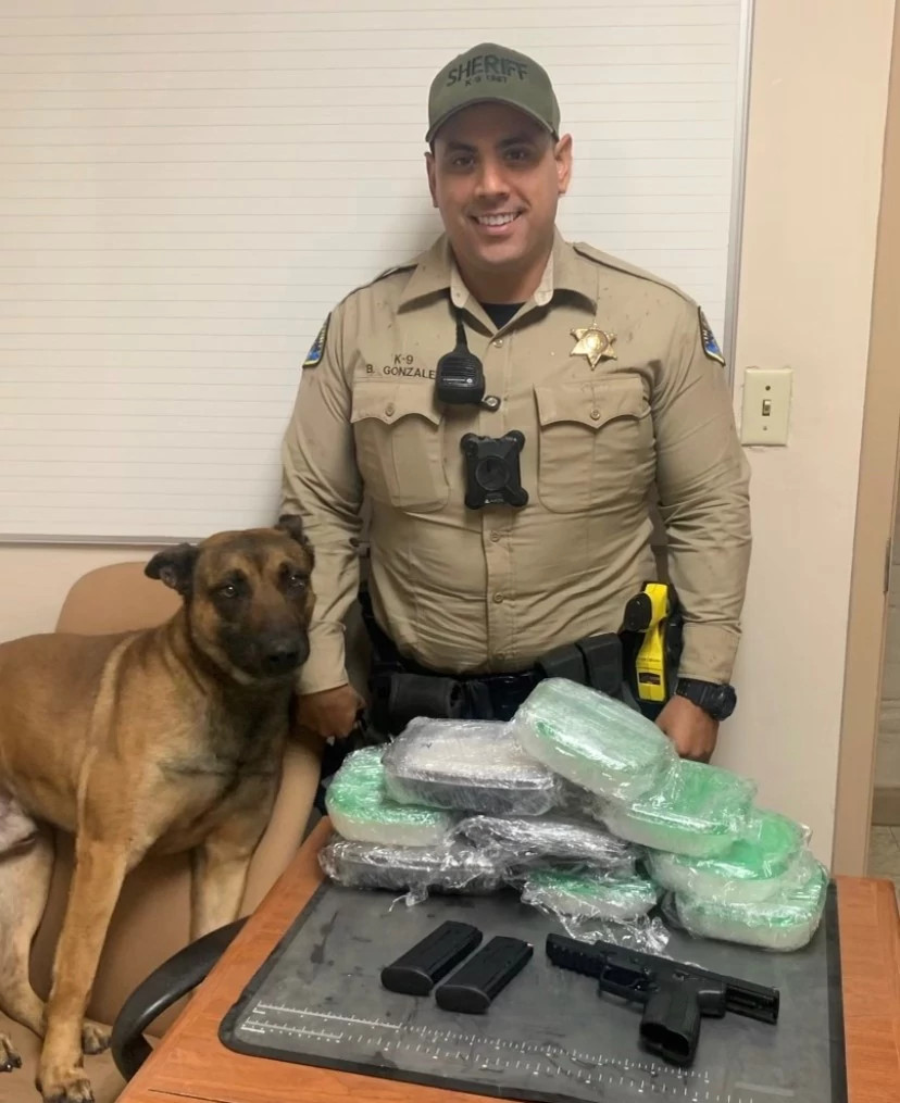 TCSO K9 Deputy Sniffs Out Drugs During Traffic Stop