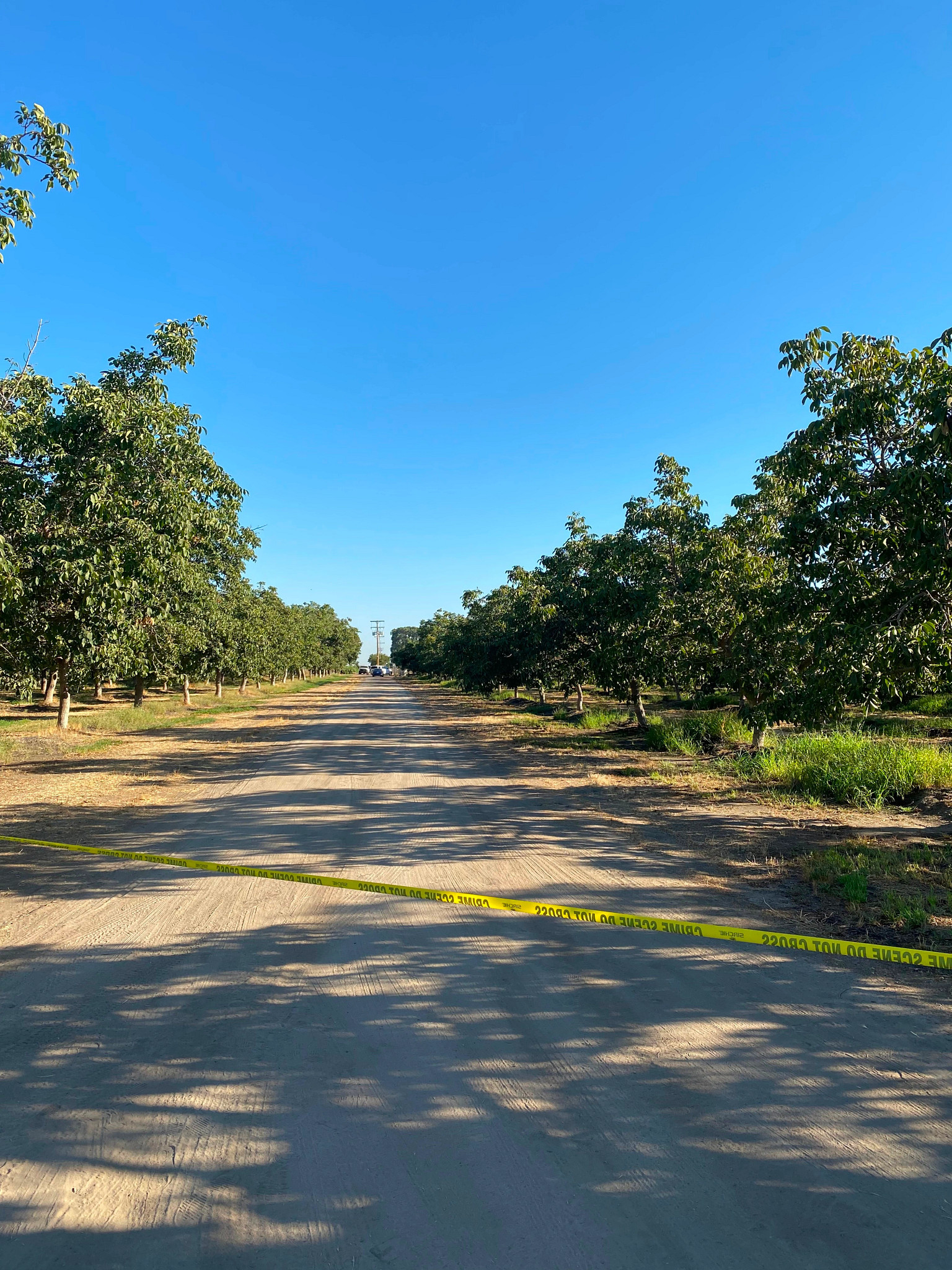 HAPPENING NOW: TCSO Deputies on Scene of Officer Involved Shooting with Woodville Murder Suspect