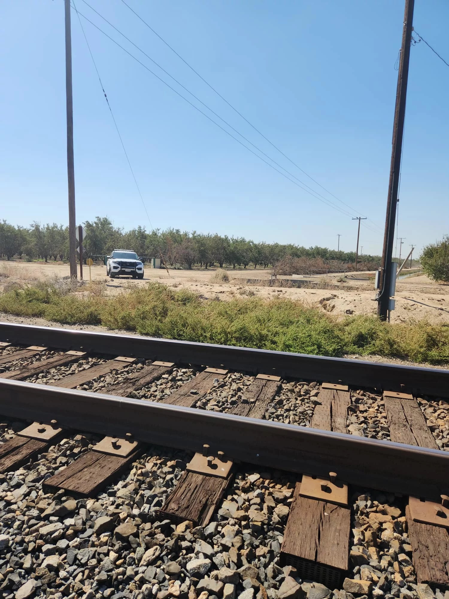 Detectives Investigating Man Found Dead in Pixley